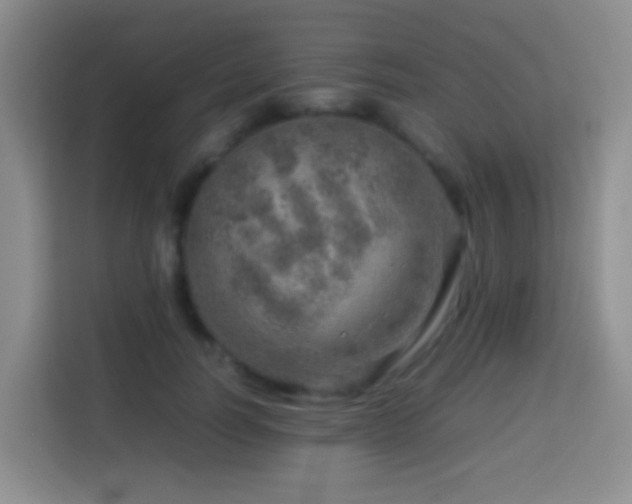 X0000114140746200910081304