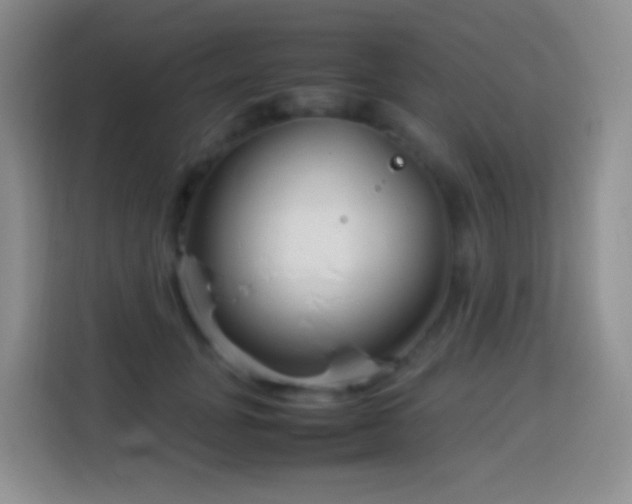 X0000114140751200910081304