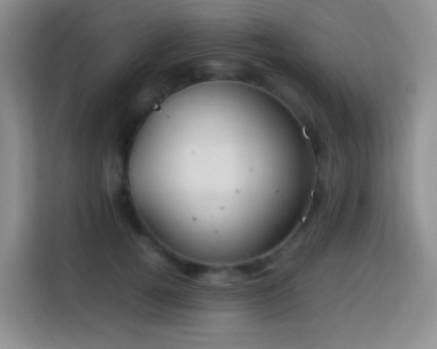 X0000114140752200910081304