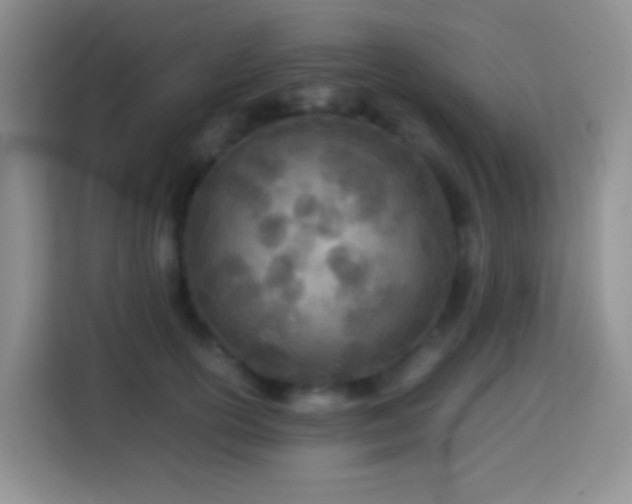 X0000114140754200910081304