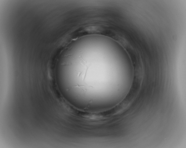 X0000114140755200910081304