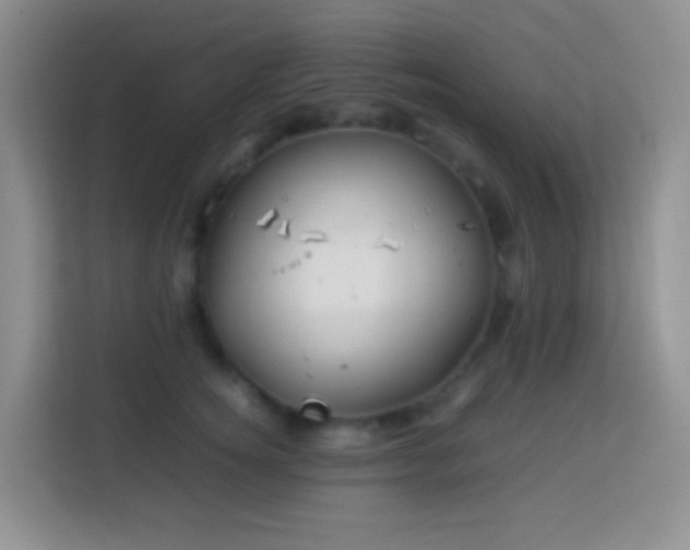 X0000114140756200910081304