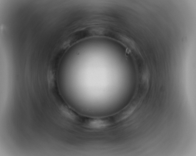 X0000114140759200910081305