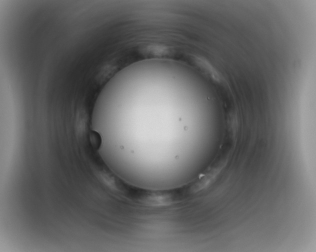 X0000114140760200910081305