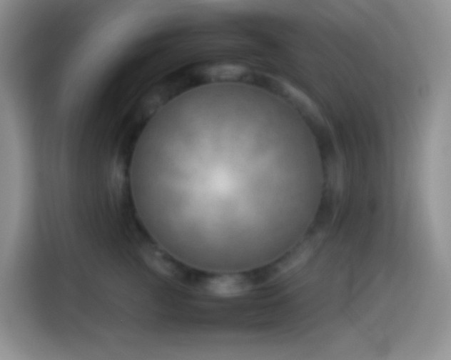 X0000114140761200910081305