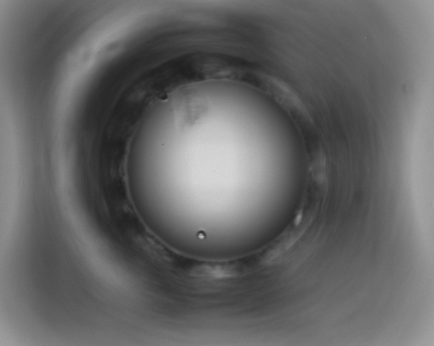 X0000114140763200910081305