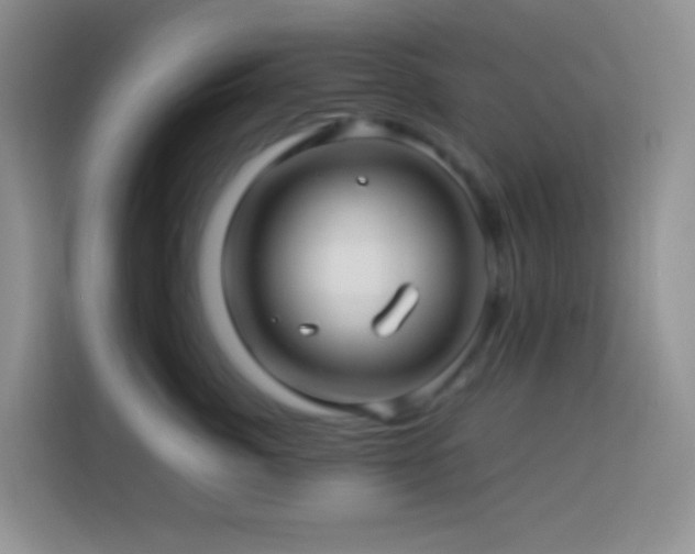 X0000114140764200910081305