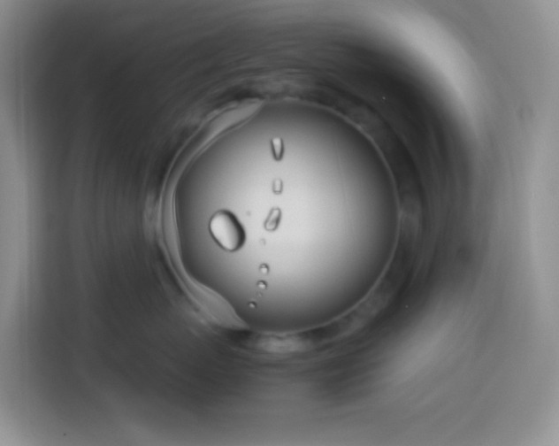 X0000114140767200910081305