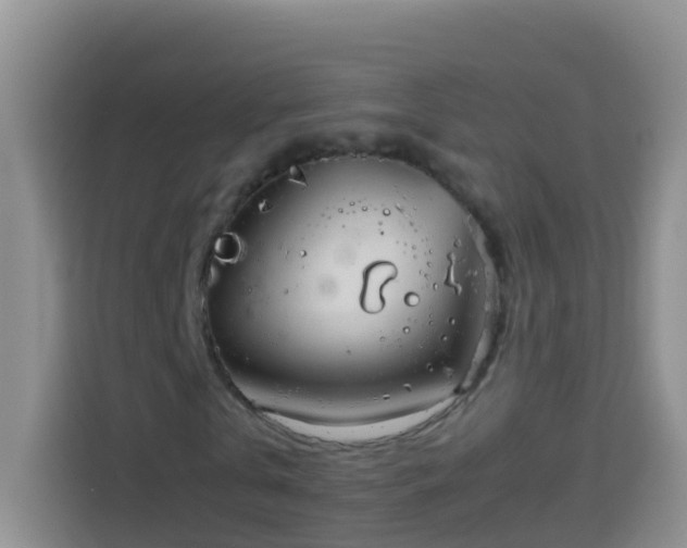 X0000114140769200910081304