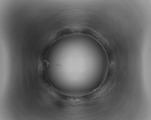 X0000114140772200910081304