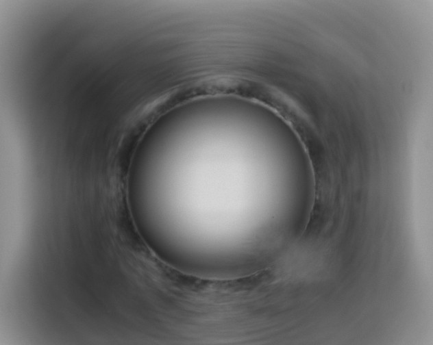 X0000114140773200910081304