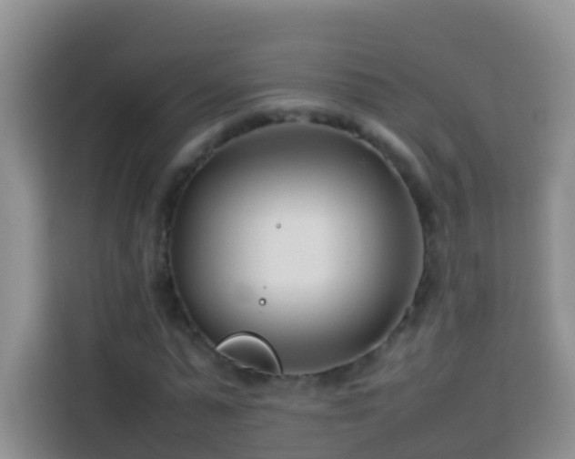 X0000114140775200910081304