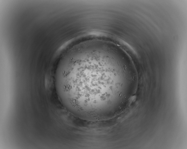 X0000114140776200910081304