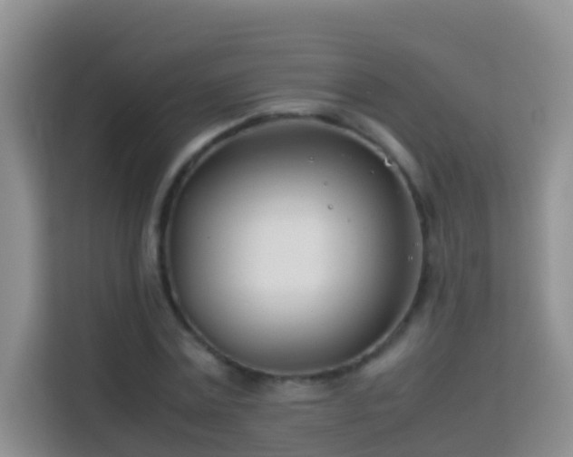 X0000114140779200910081304