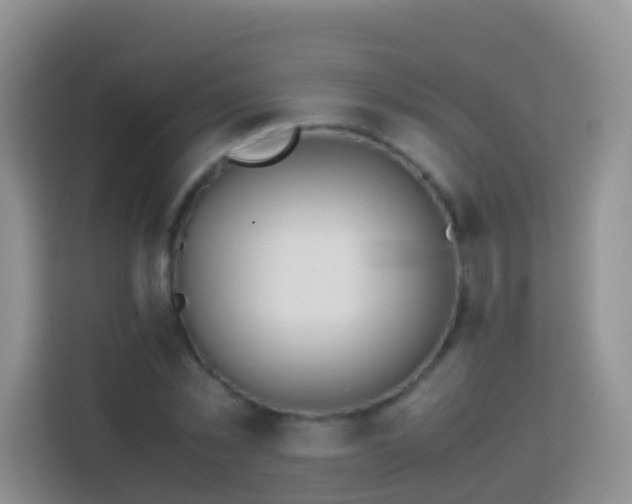 X0000114140781200910081304