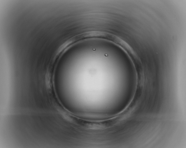 X0000114140786200910081304