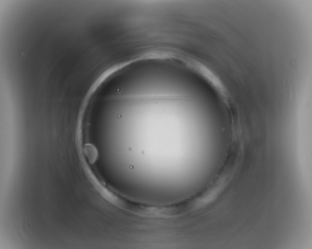 X0000114140803200910081304