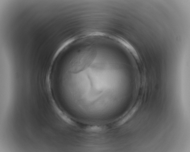 X0000114140806200910081304