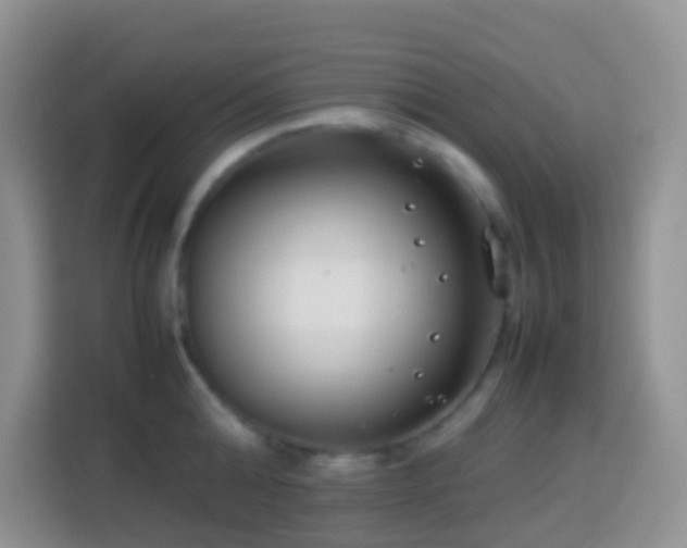 X0000114140808200910081304