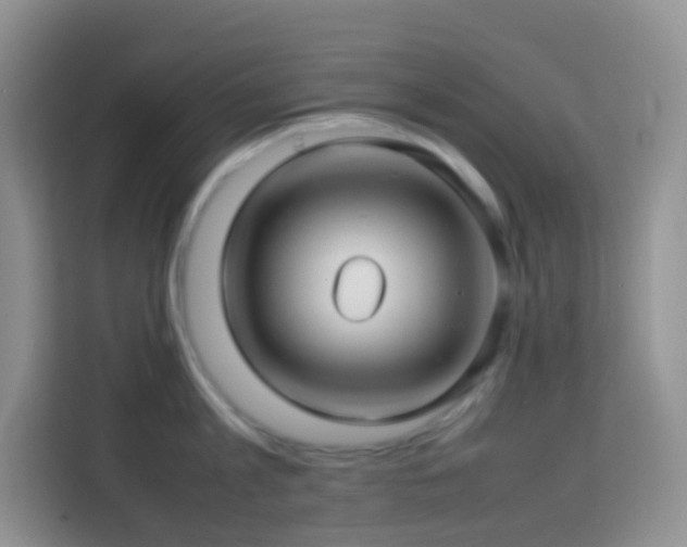 X0000114140813200910081303