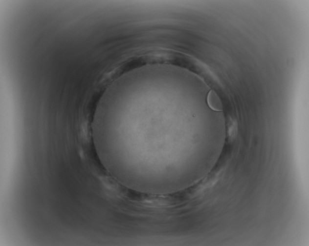 X0000114140819200910081303