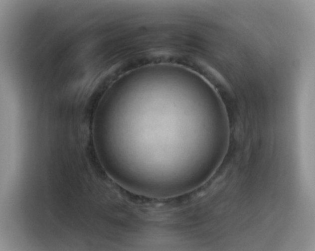 X0000114140821200910081303