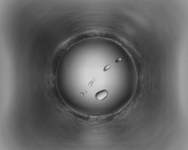 X0000114140822200910081303