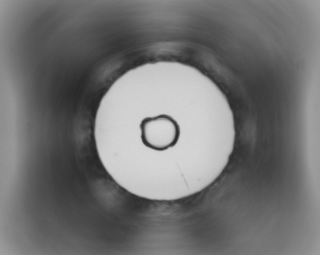 X0000114140824200910081303