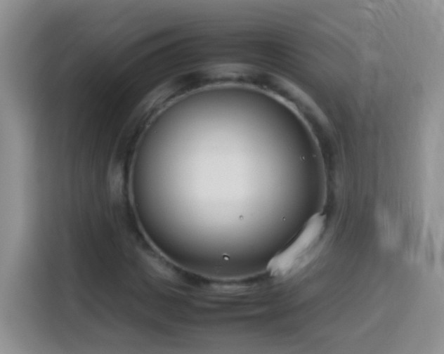 X0000114140825200910081303