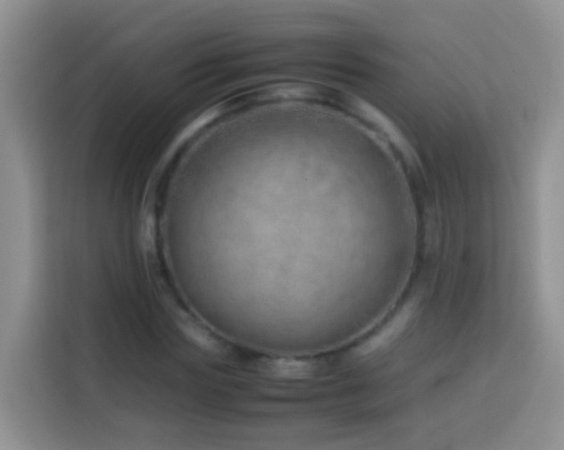 X0000114140827200910081303