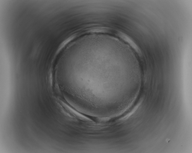 X0000114140829200910081303