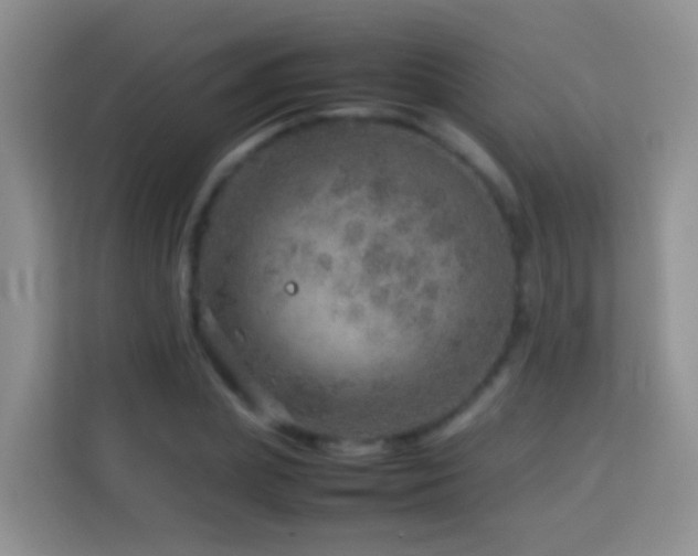 X0000114140831200910081303