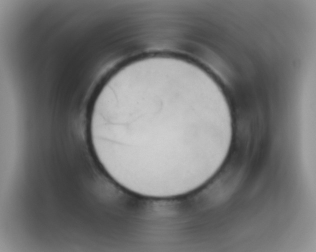 X0000114140832200910081303