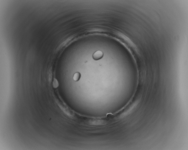 X0000114140833200910081303