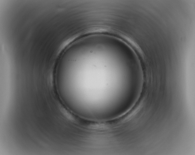 X0000114140834200910081303