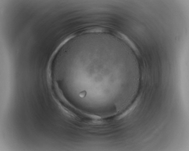 X0000114140835200910081303