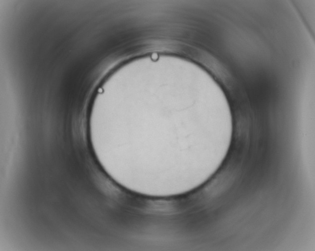 X0000114140836200910081303