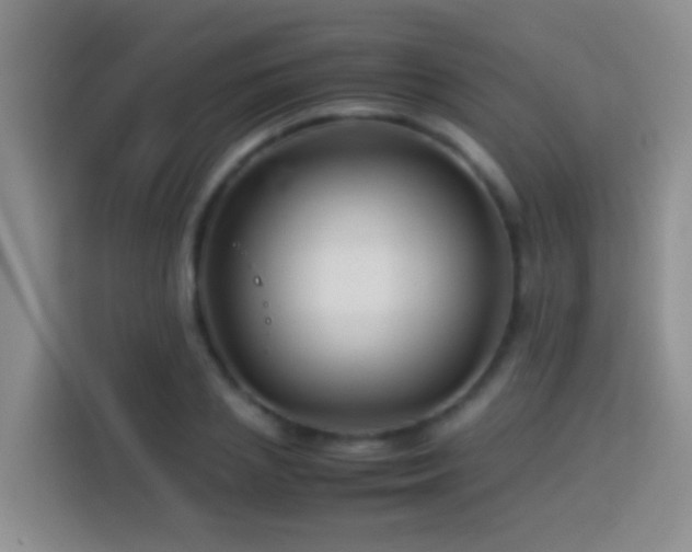 X0000114140837200910081303