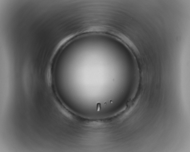 X0000114140838200910081303