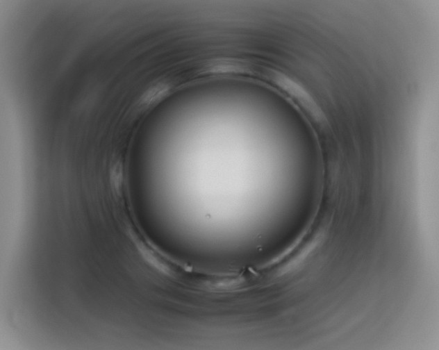 X0000114140841200910081303