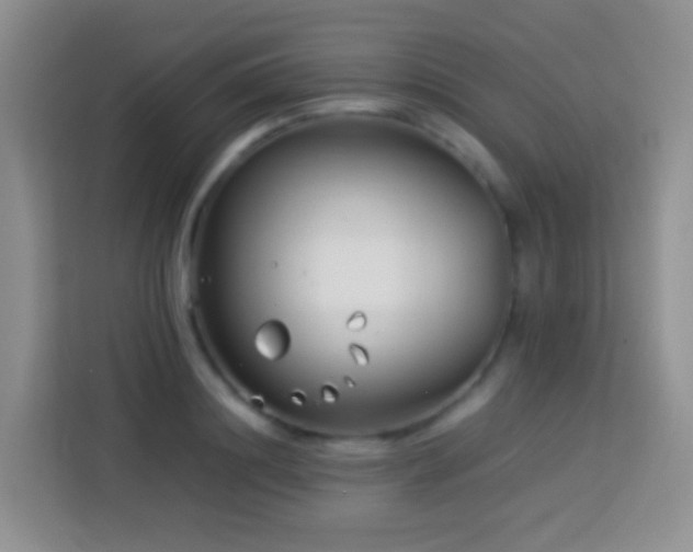 X0000114140844200910081303