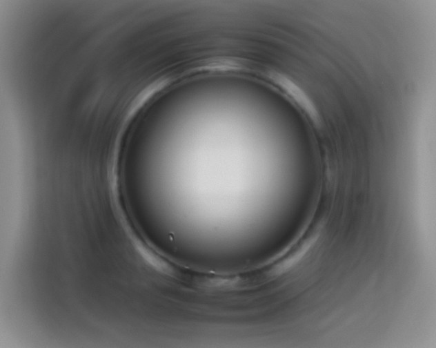 X0000114140845200910081303