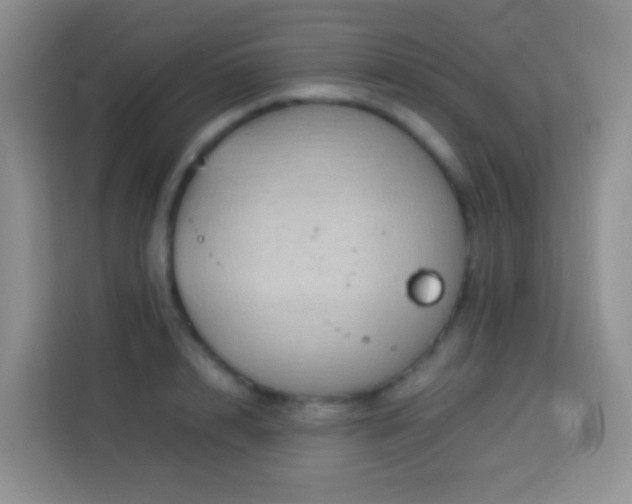 X0000114140848200910081303