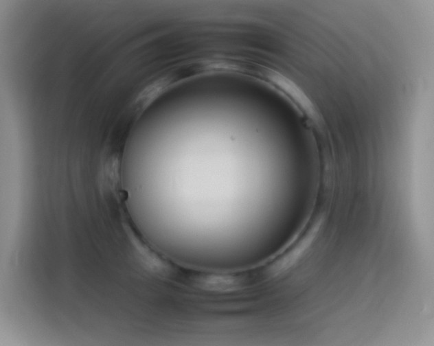 X0000114140849200910081303