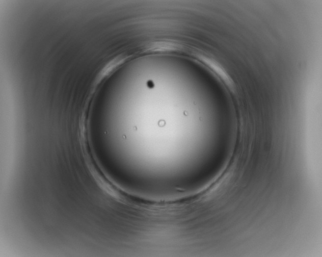 X0000114140850200910081303