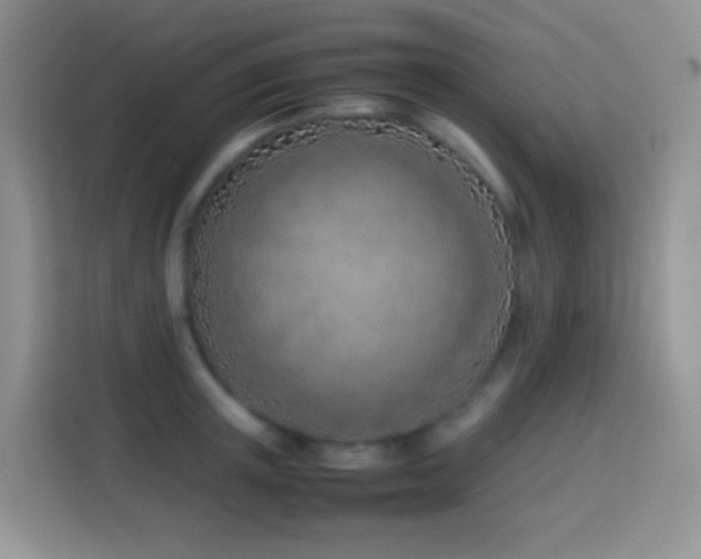 X0000114140851200910081303