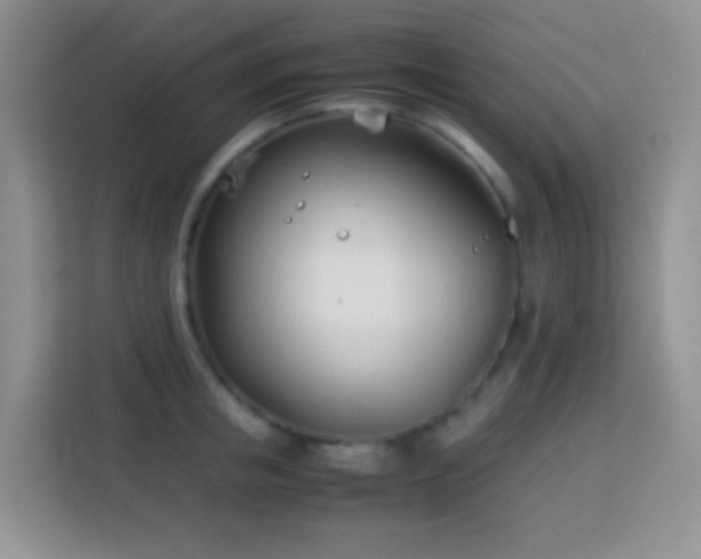 X0000114140853200910081303