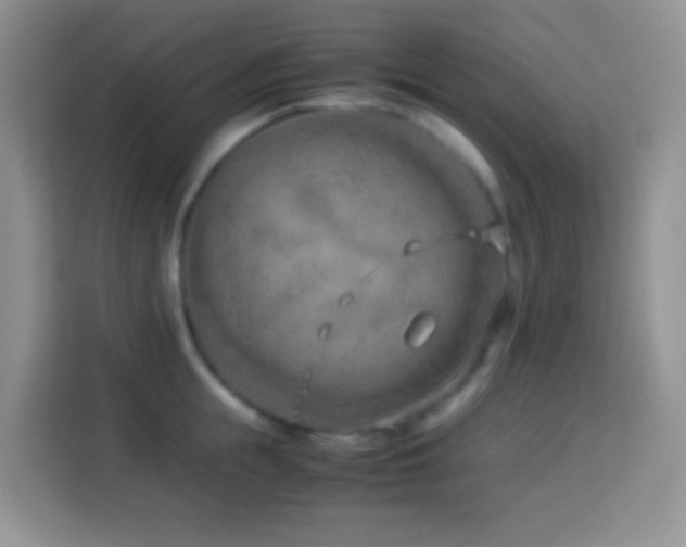 X0000114140855200910081303