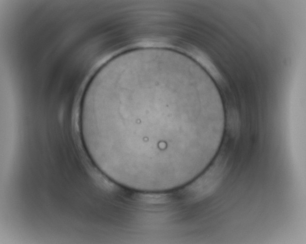 X0000114140856200910081303