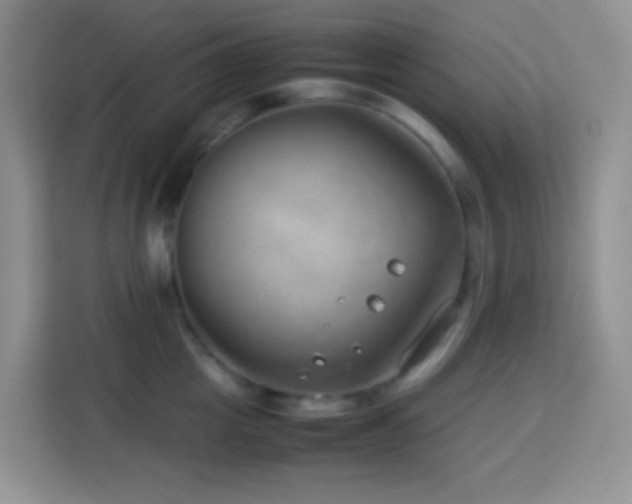 X0000114140857200910081303